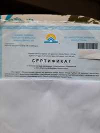 Продам сертификат жилстройсбербанк