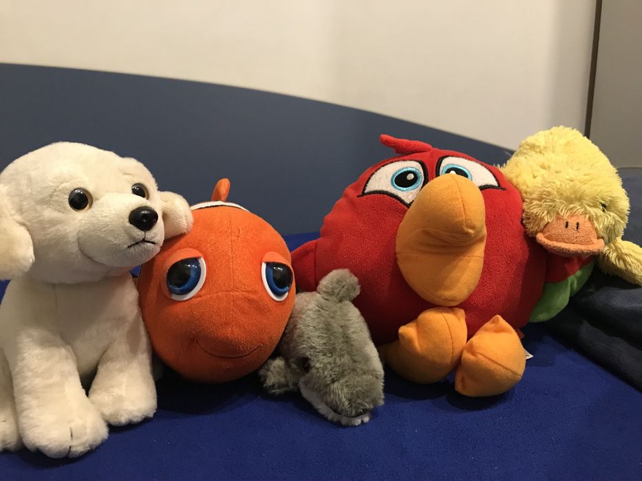 Jucarie cu sunete, noua.