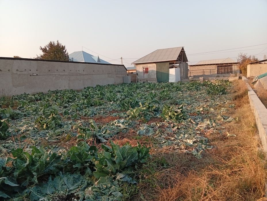 12 sotx uchastka sotiladi