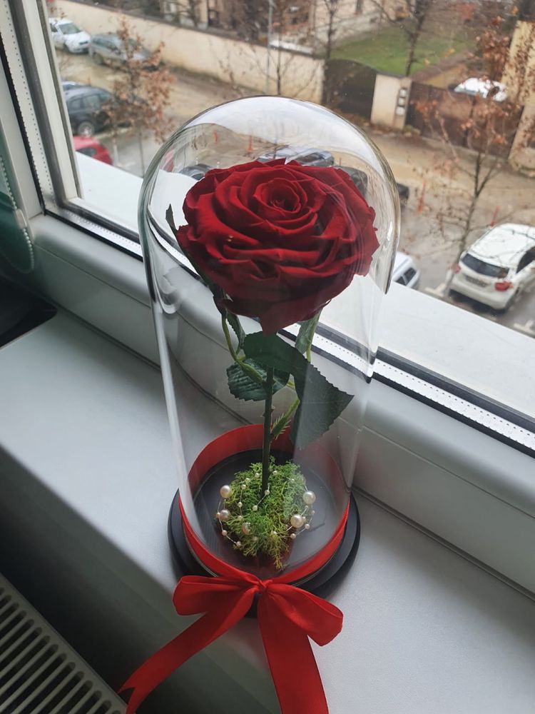 Trandafir rosu in cupola 25 cm 150 lei