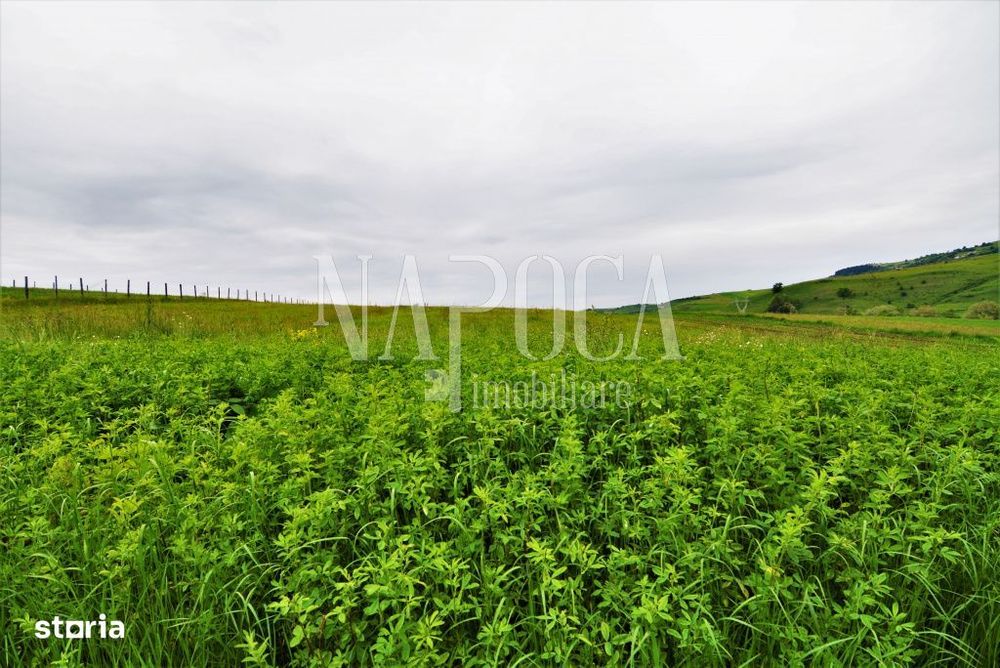 Teren extravilan pentru constructii de vanzare in Popesti