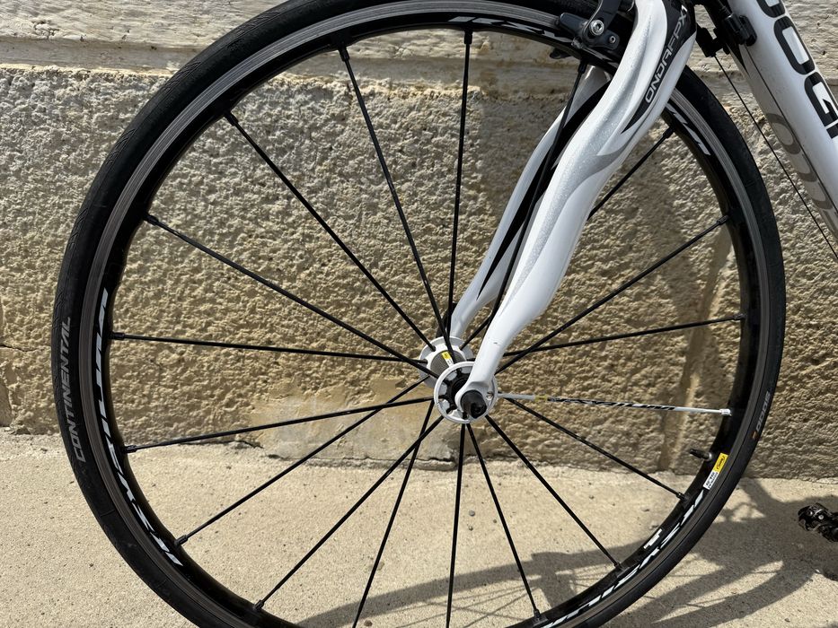 Pinarello dogma 60.1