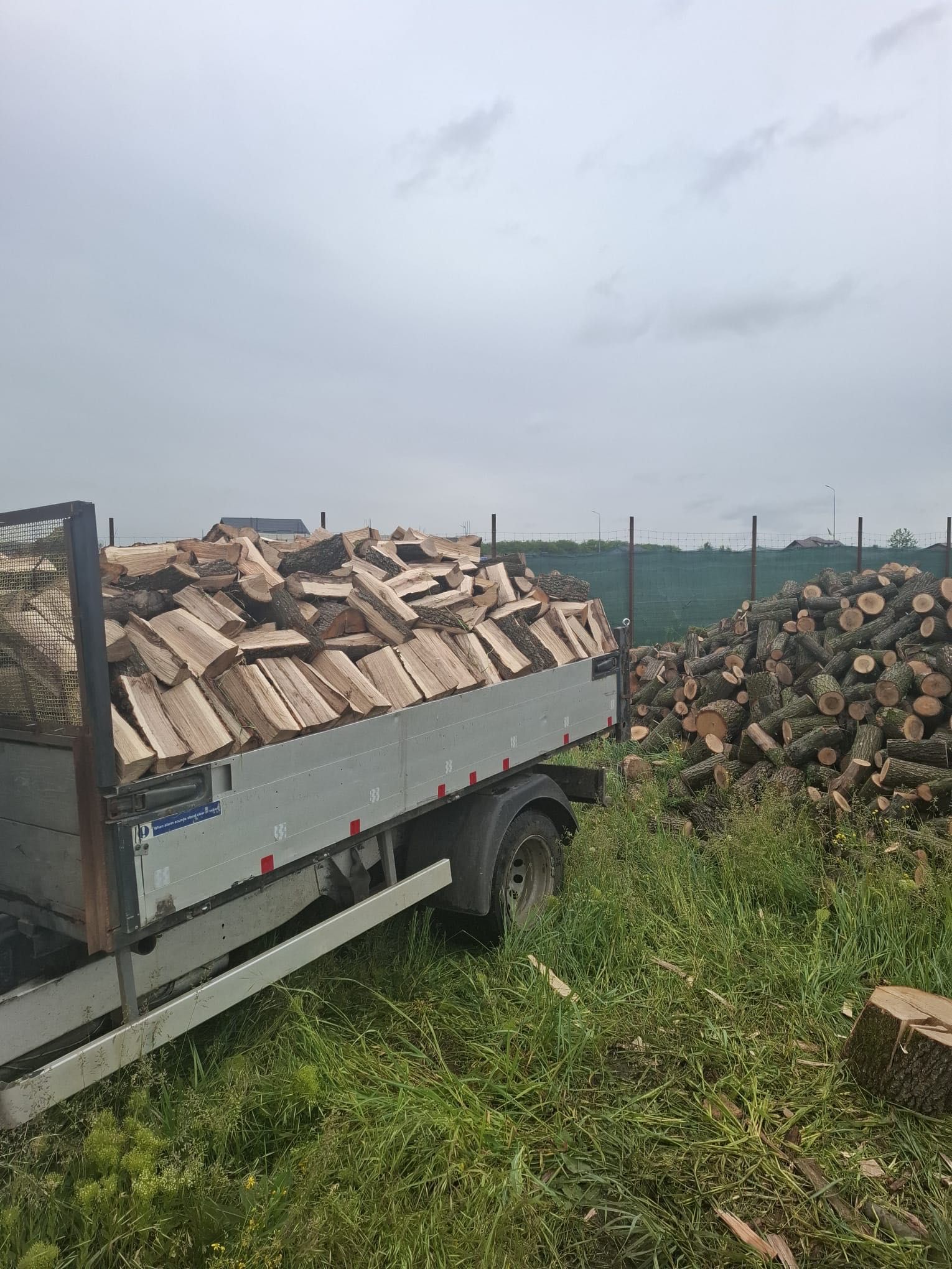 Vand lemne de foc stejar 600 lei tona