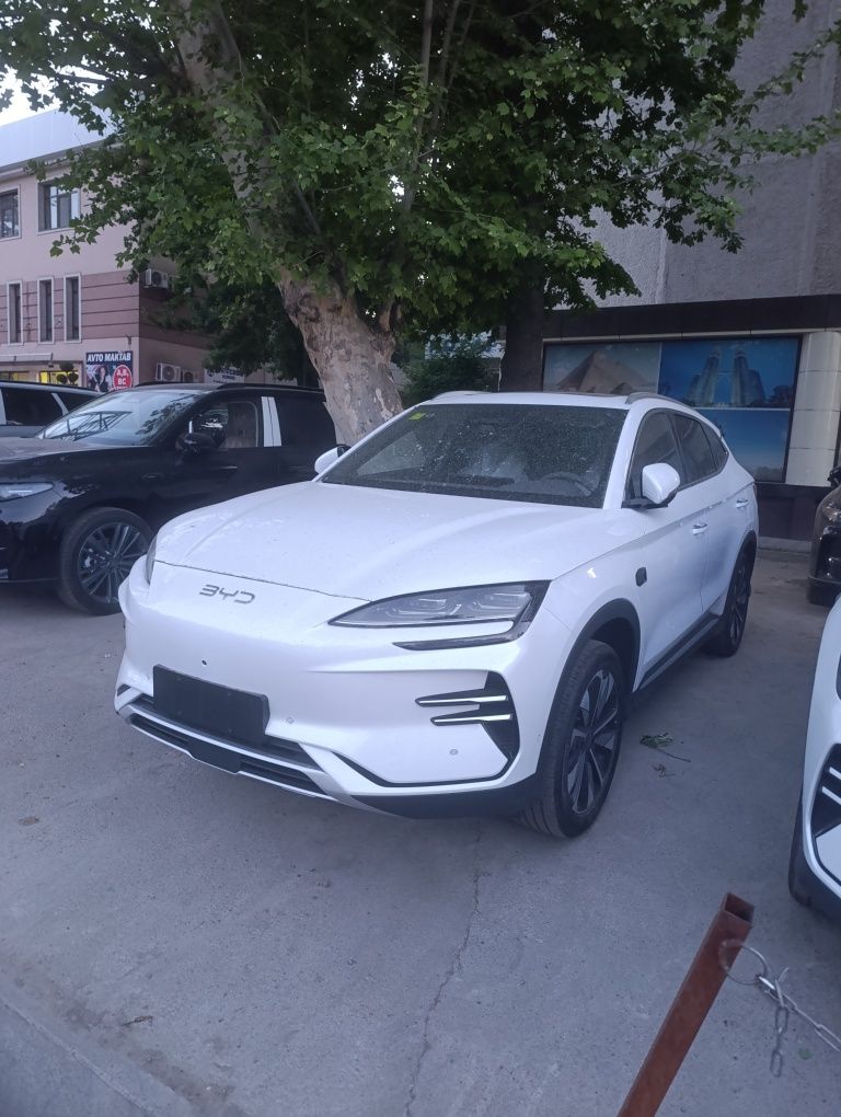 Byd Champion Smart 2025 Натариусга тайер