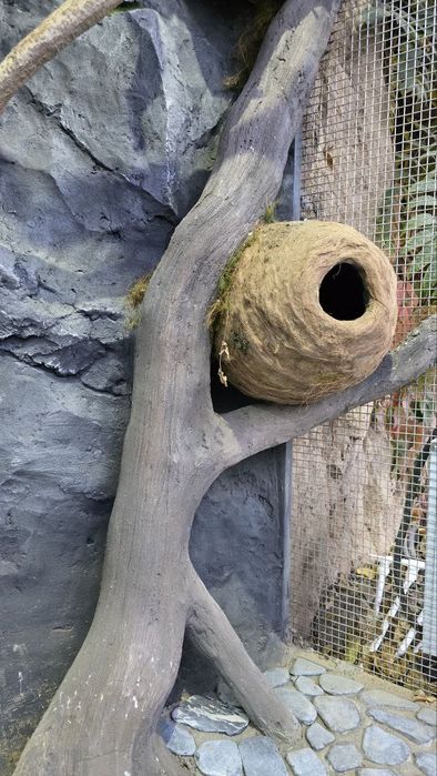 Вольер кафас водопад барельеф бассейн хизматларни таклиф киламиз