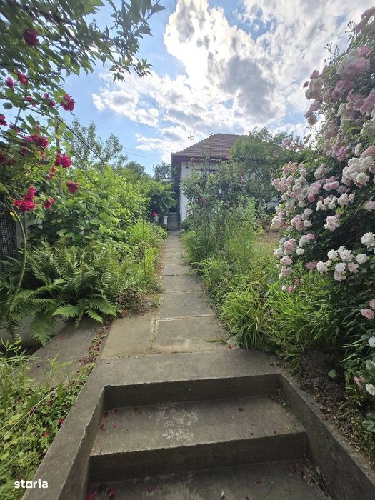 Casa de vanzare - Medias