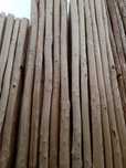 Terak tosin strapila brus chorni 30000 dan 300000 somgacha