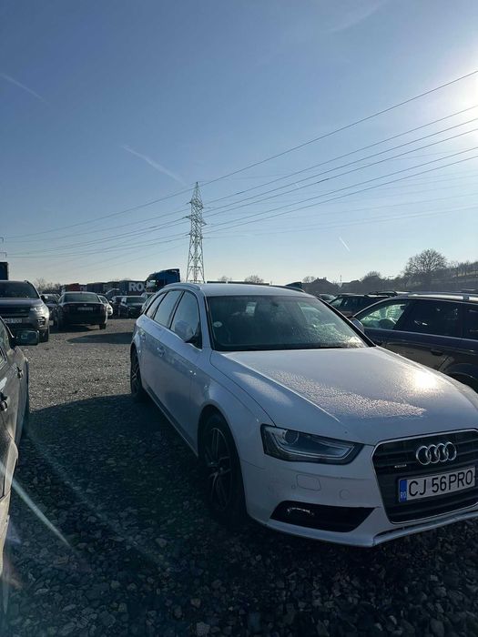 Vand sau skimb  cu duster