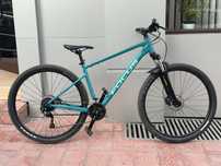 Focus Whistler 29