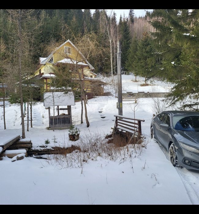 Cabana-duplex Pojorâta, zona superba, Transrarău, Izvorul Giumalau - C