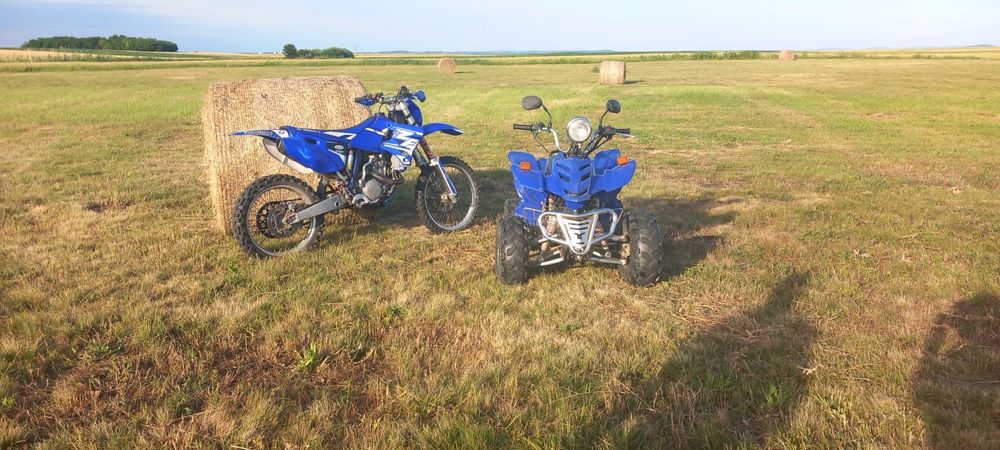 Vand atv bashan 250