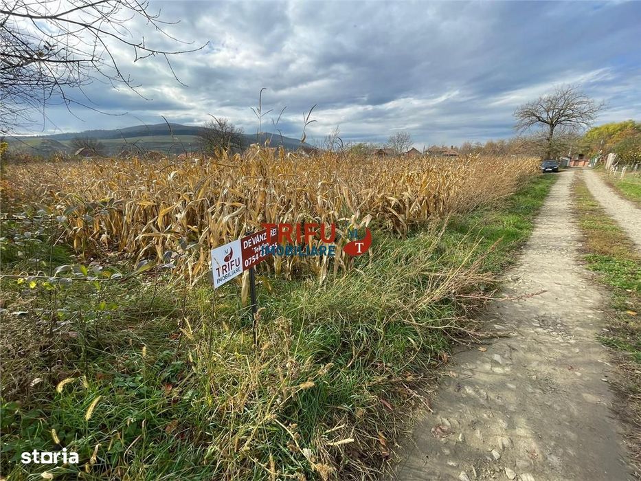 Teren intravilan de vânzare în Șard