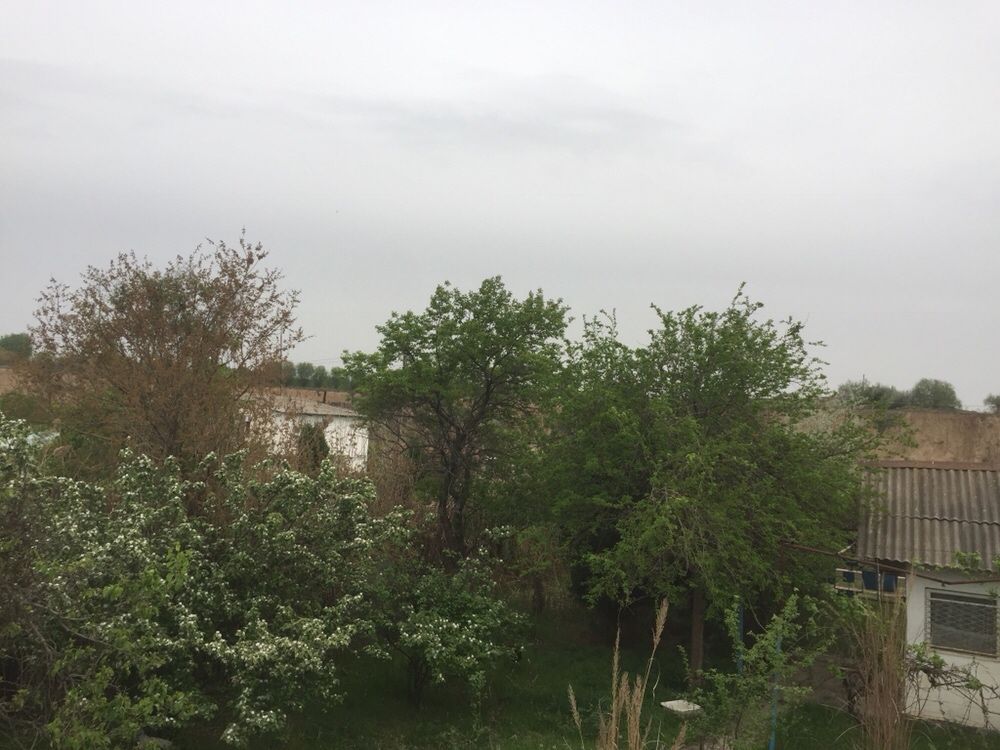 Продается отличный дом с участком