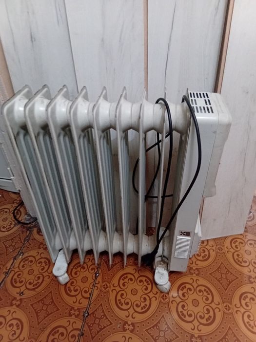 Масленый радиатор Zass.