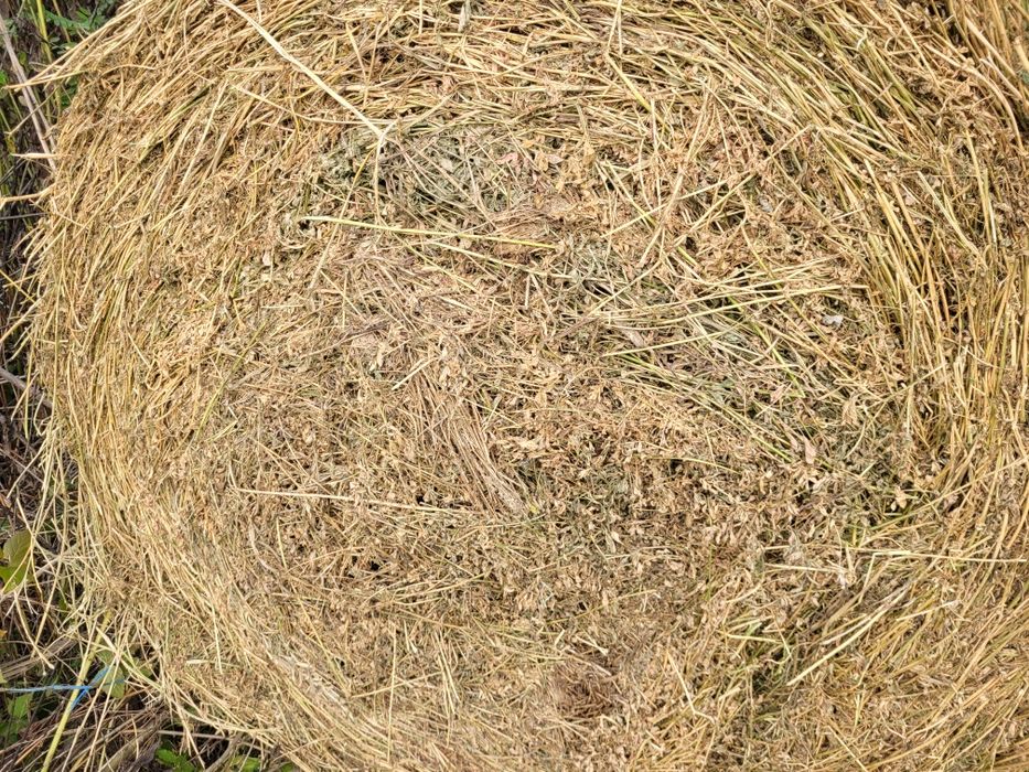 Baloti lucernă  coasa 3 4