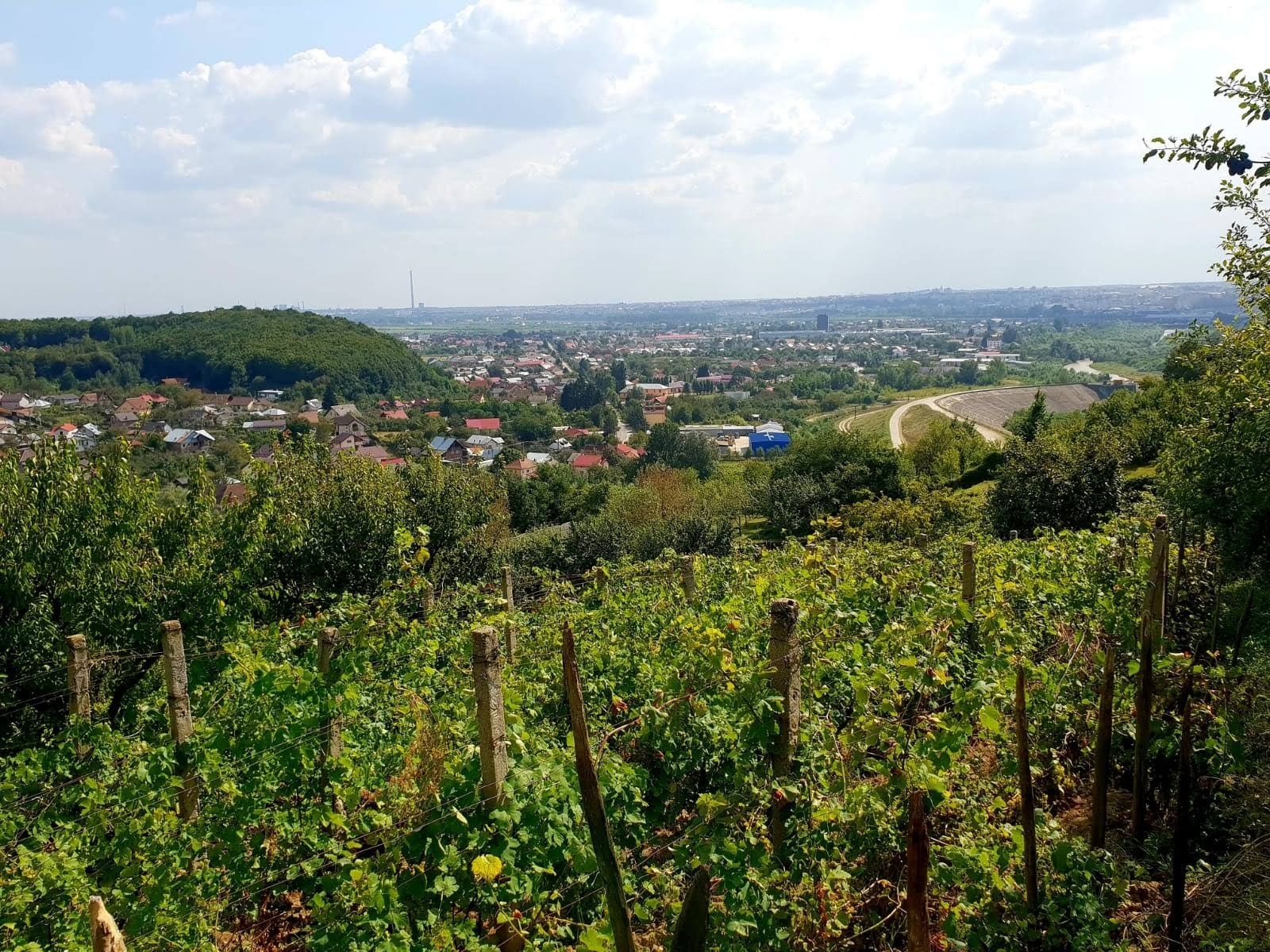 Teren Valea Mare la 2 km Pitești