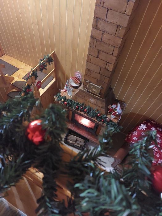 Închiriem Vila in Lepsa Vrancea Revelion ocupat