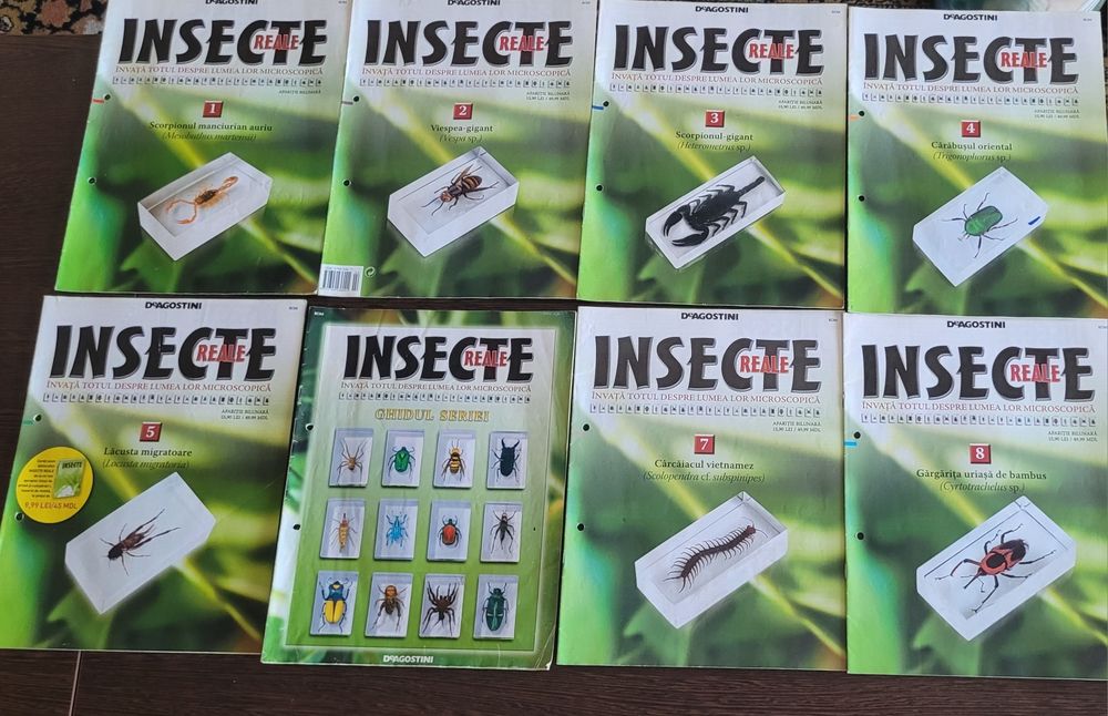 Insecte (reale) in rasina colectia DeAgostini