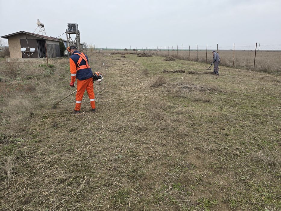 Defrișări tăieri pomii