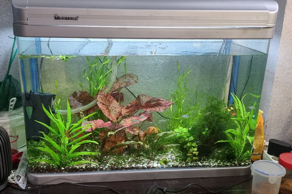 Заводской аквариум 150 л