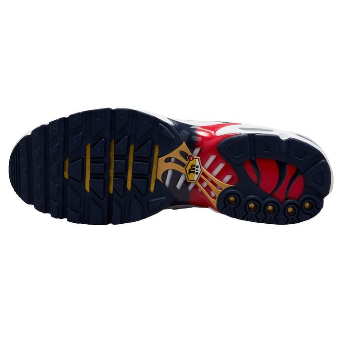 Nike Air Max Plus "PSG"