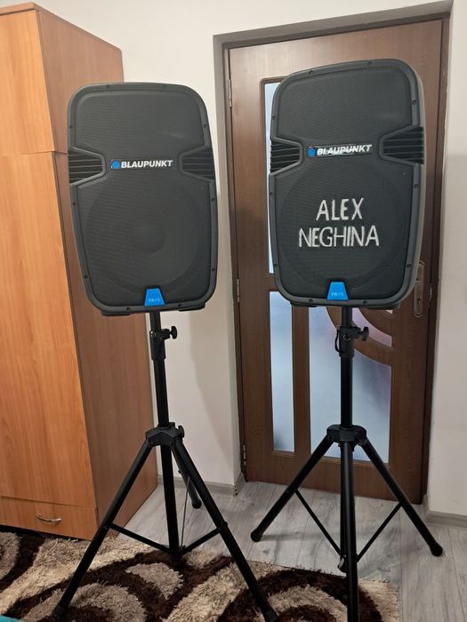 Vând boxe Blaupunkt pa 15