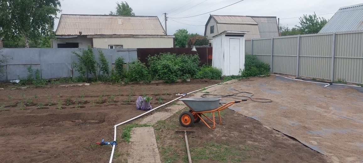 Продам дои в садоводстве Иртыш