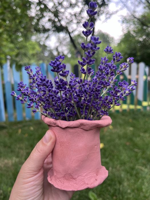 Vand afacere la cheie - centru educational in natura