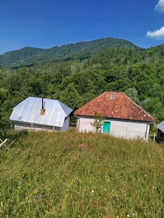 Vand Casa si Teren Vadu Oii, Gura Teghii
