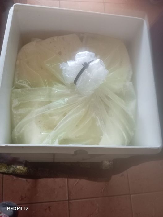 Brânză de capră fără miros!