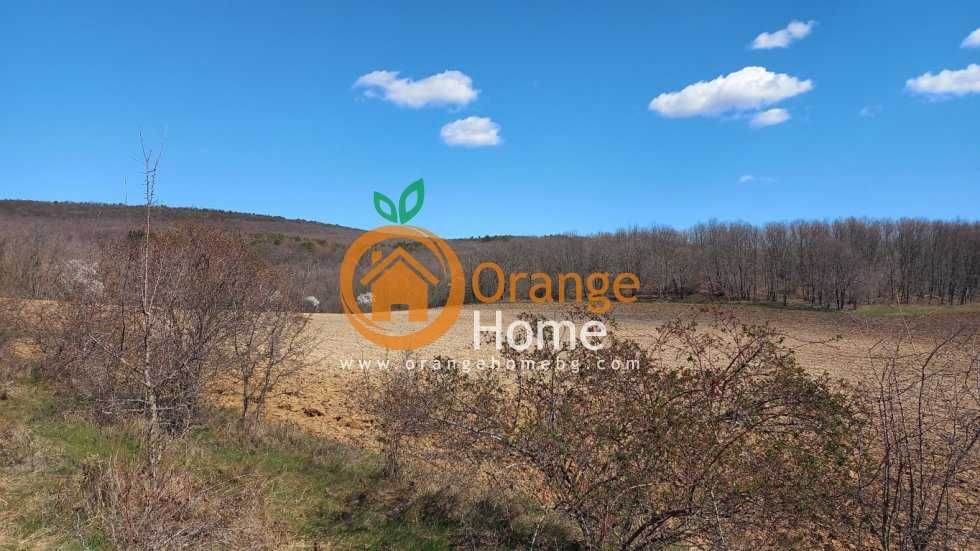 Продава се Парцел в с. Осеново, Област Варна - 1070 кв.м за 18 €/кв.м - Снимка #9