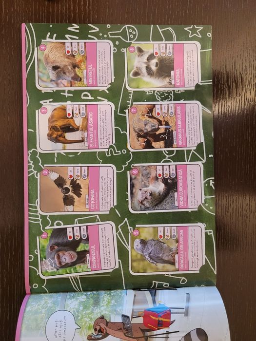 Catalog mega image completat