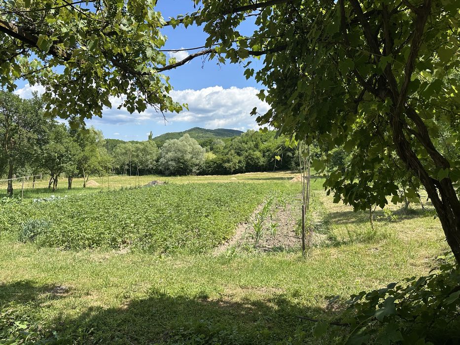 Casa cu gradina 70 ari