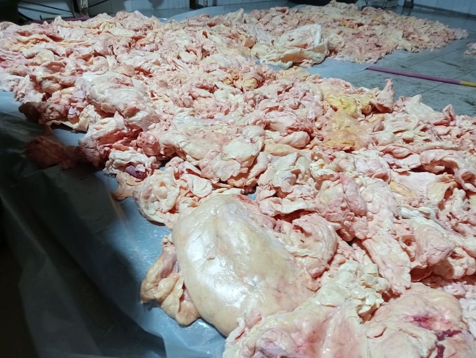 Жир говяжий внутренний свежемороженный