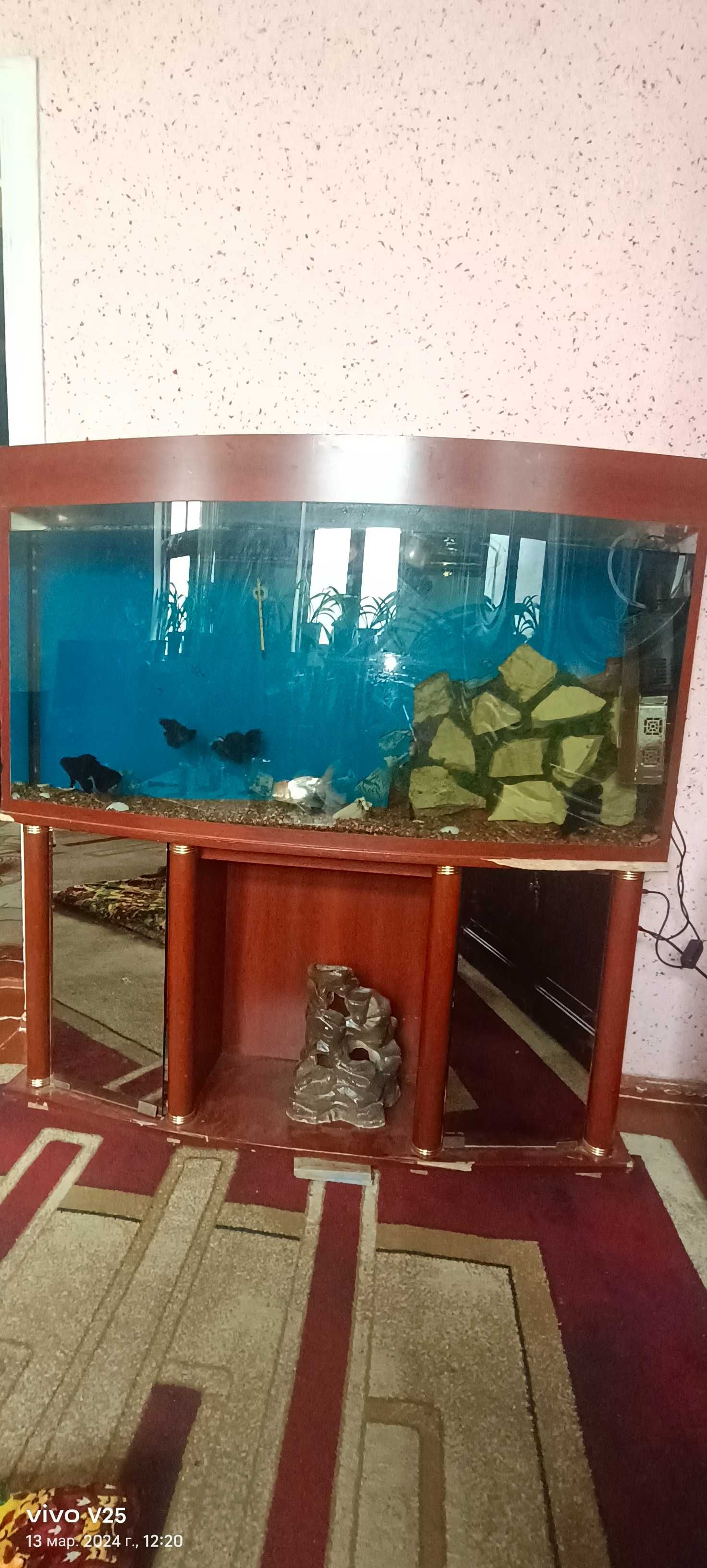 Продам аквариум с рыбками .