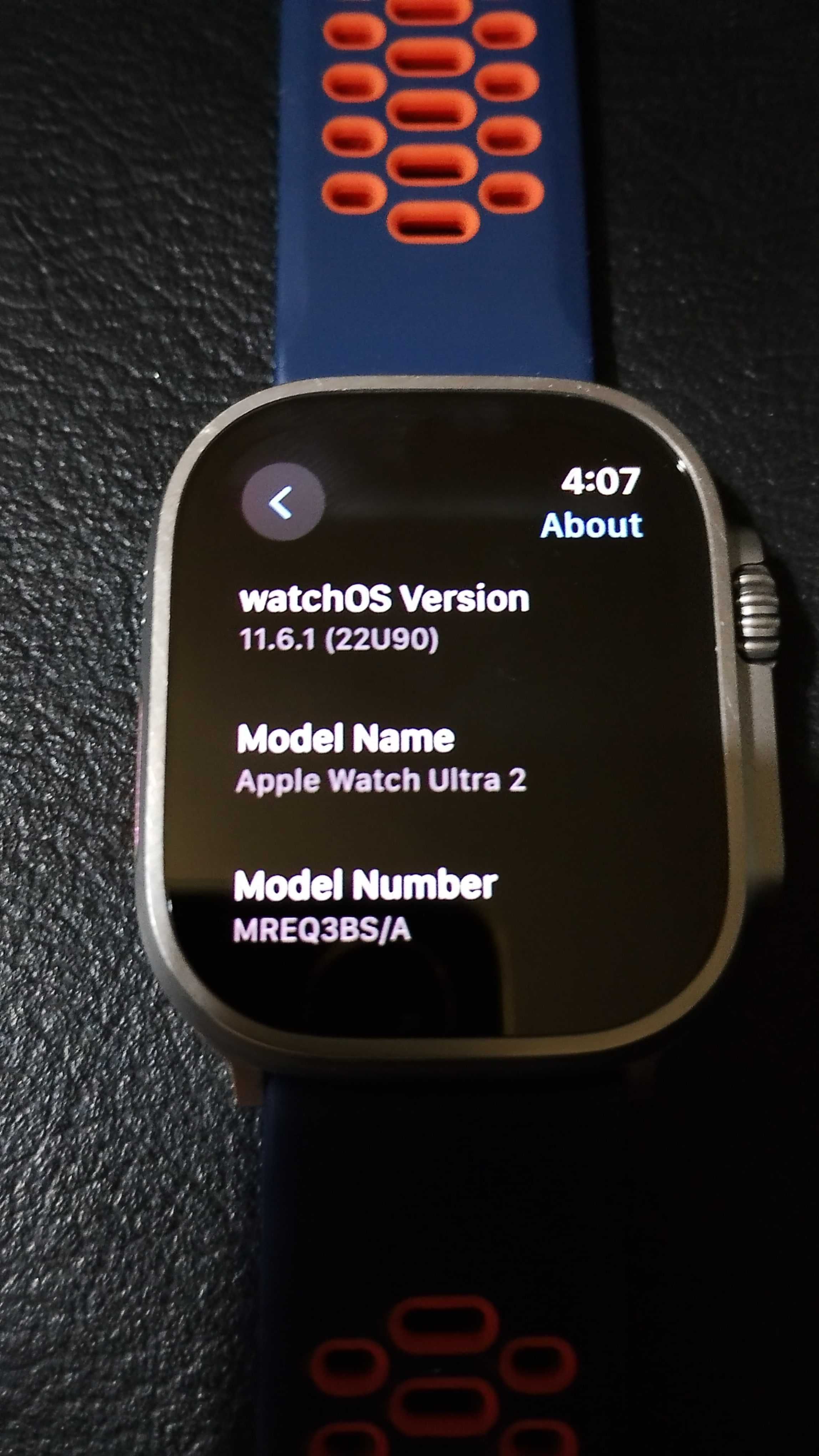 Apple Watch Ultra 2 [Natural Titanium]