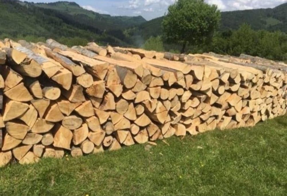 Lemne de foc esență tare (Fag, Carpen, Stejar )