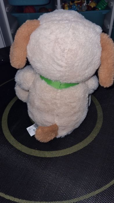 Catel interactiv care spune povesti lb engleza