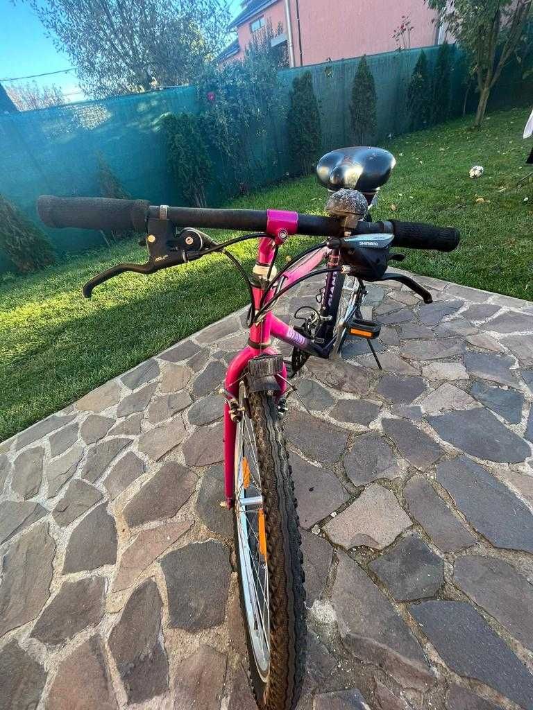 Bicicleta Giant Terrago