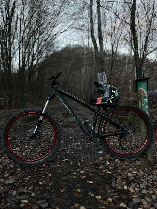 Dartmoor Hornet 2018 26