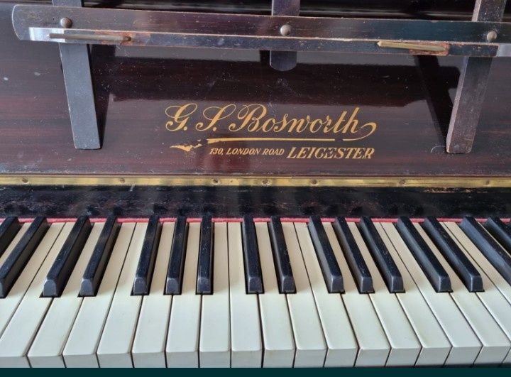 Pianina G. S. Bosworth 130, L, Germania