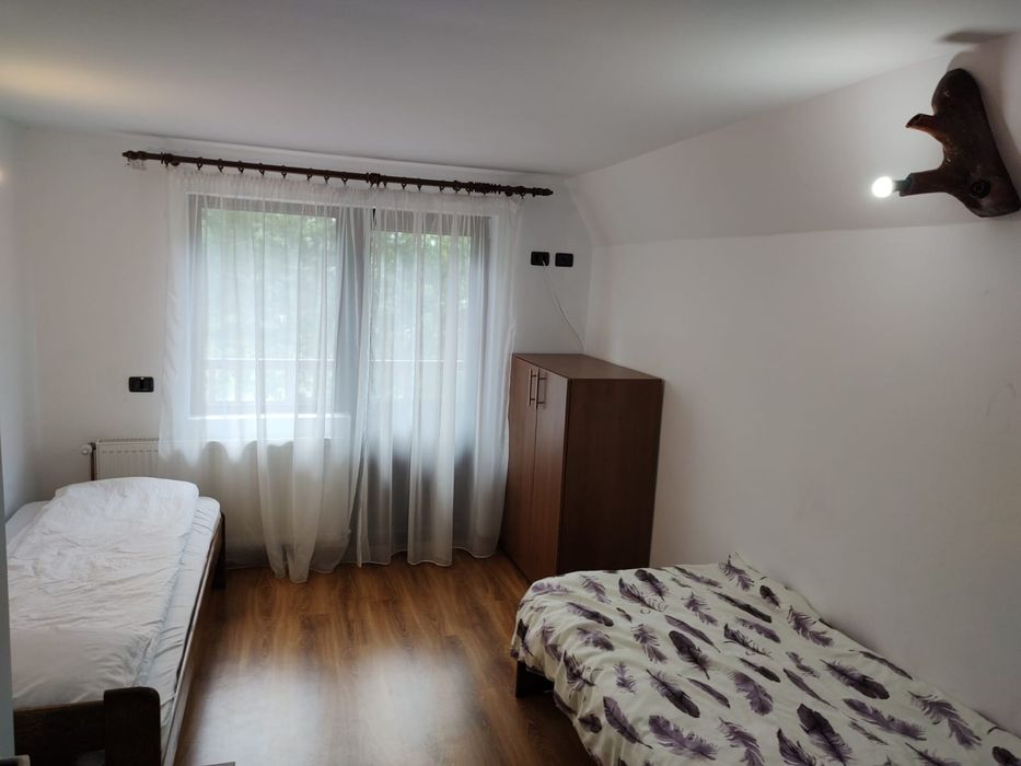 Cabană la poalele munților Făgăraș Valea Dejani