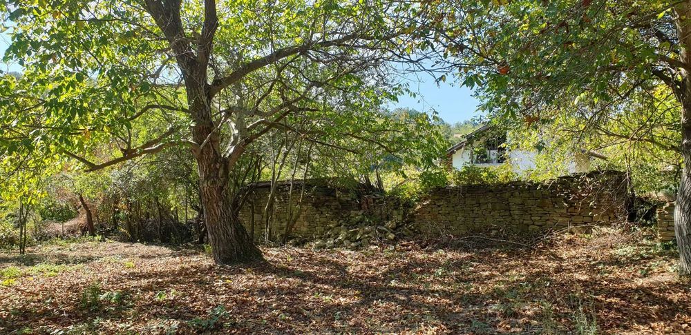 Продава се Парцел в с. Лесичарка, Област Габрово - 850 кв.м за 17 €/кв.м - Снимка #6