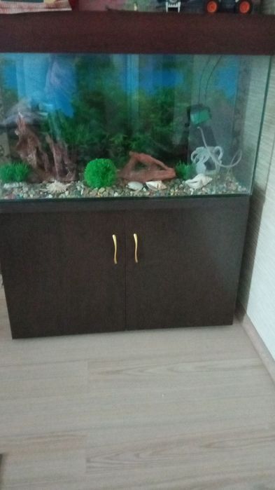 Аквариум,б у ,красивый,с тумбочкой,все принадлежности