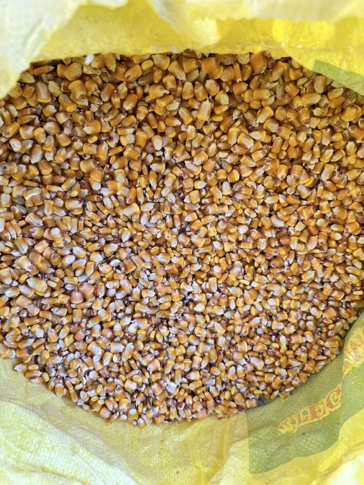 MAKKАJO‘XORI doni sotiladi