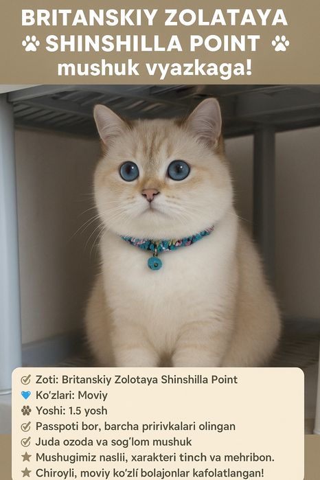 Vyazkaga qiz mushuklarni taklif qilamiz