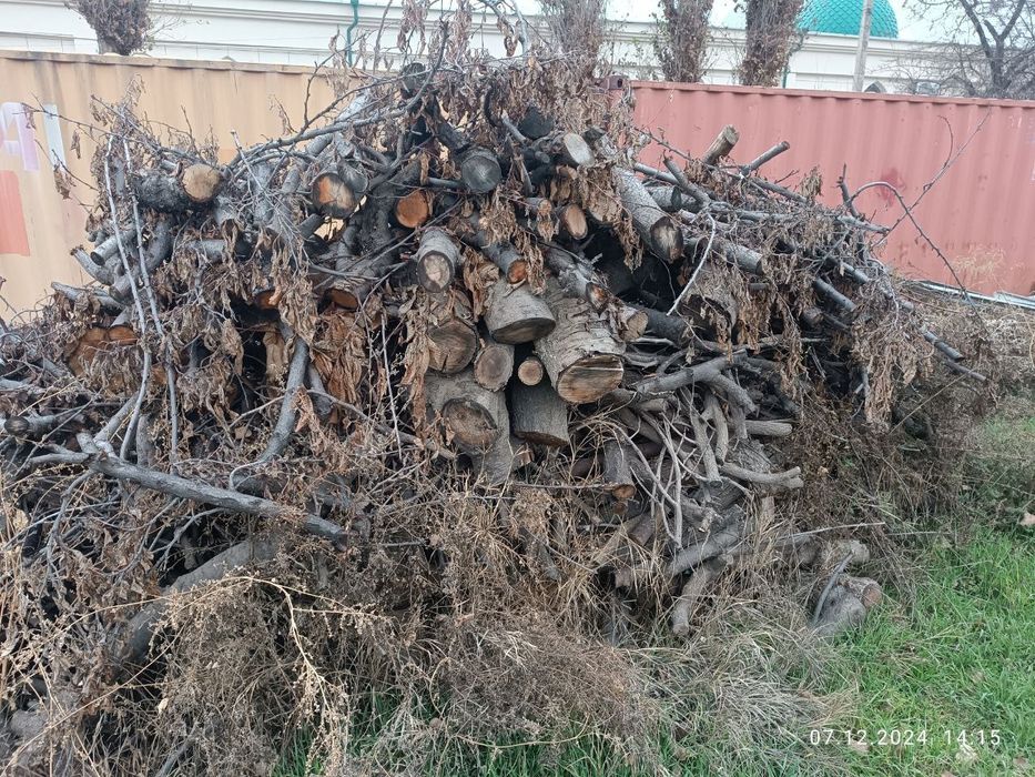 Oʻtin sotiladi. Продается дрова