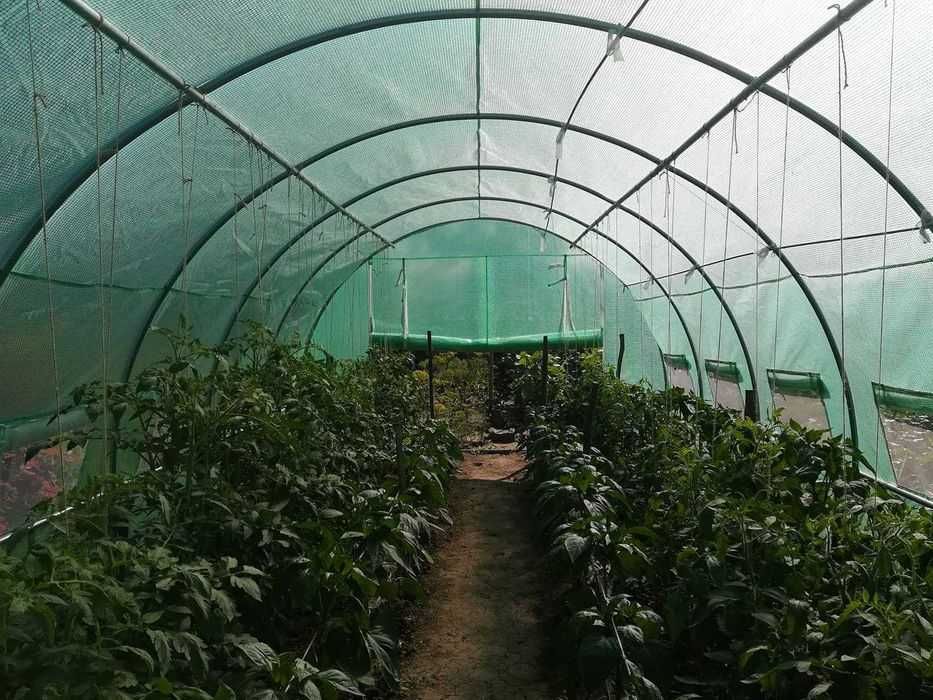 Оранжерия Парник 3х4 3х5 3х6 и много други размери