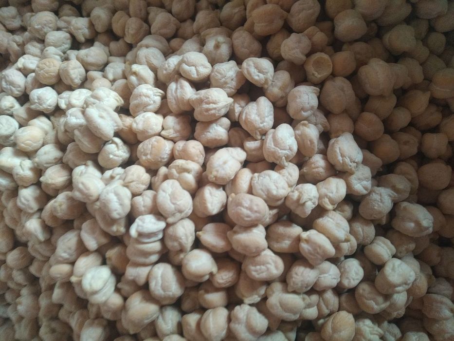 Noʻxat eng yaxshisi