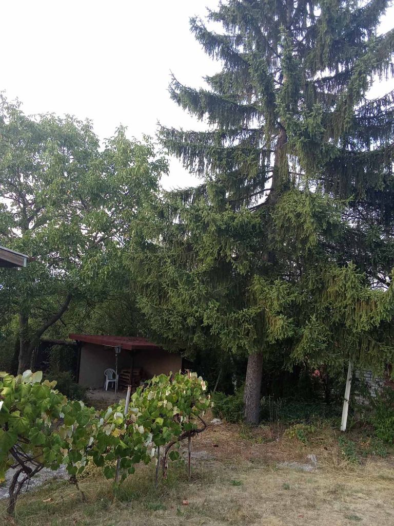 Продава се Къща в София, 7-ми 11-ти километър - 90 кв.м за 778 €/кв.м - Снимка #3